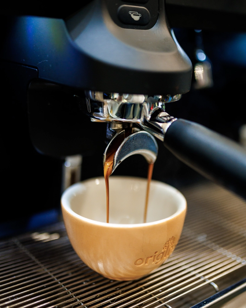  Origins – Aurel Lazăr